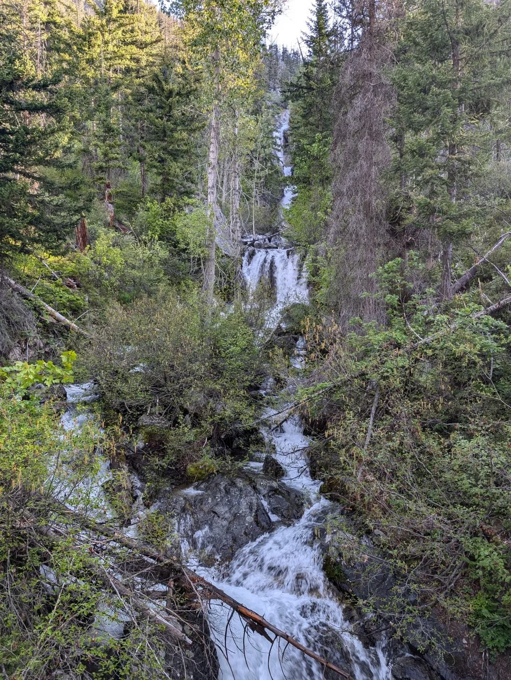 Beauty Creek Falls