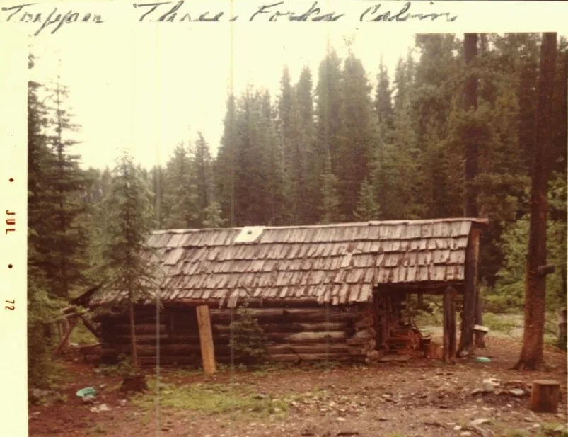 Three Forks Cabin