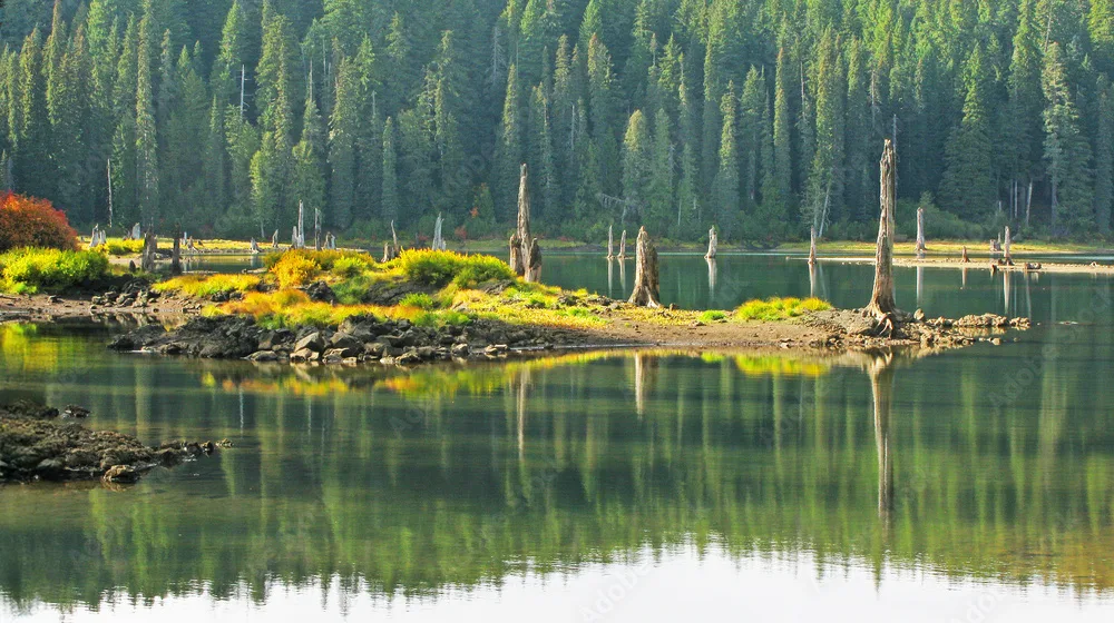 Goose Lake