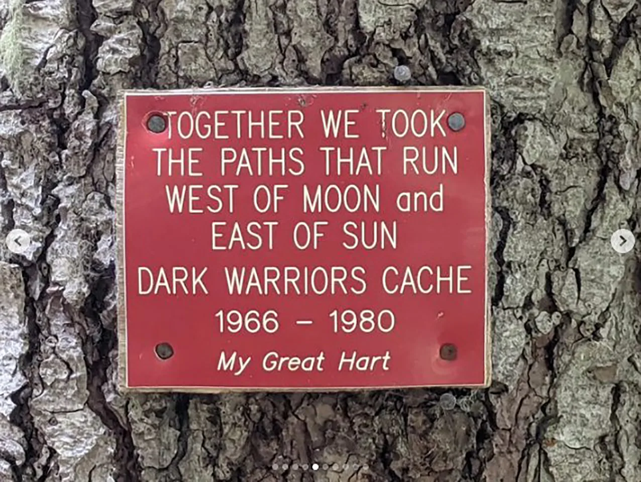 The plaque